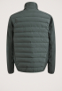 Short Jacket