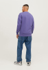 Jorvesterbro Sweater