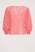 Bina Lace Top