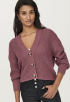 Carol Cardigan Knit Vest