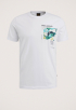 Single Jersey T-shirt
