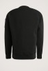 PSW2509453 Crewneck Sweater