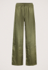 Aster Broek