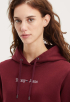 Reg Serif Linear Hoodie