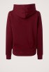 Reg Serif Linear Hoodie
