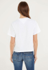 Classic Serif Linear T-shirt