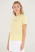 Color T-shirt