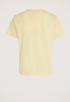 Color T-shirt