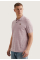 Striped Piqué Polo