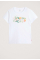 The Perfect T-shirt