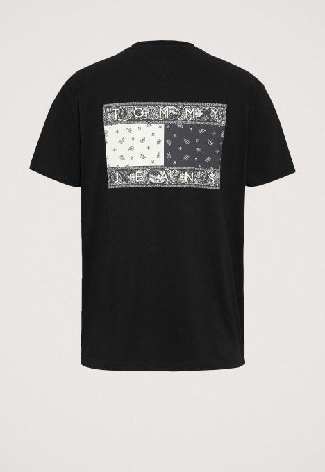 Paisley Flag T-Shirt