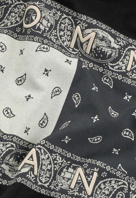 Paisley Flag T-Shirt