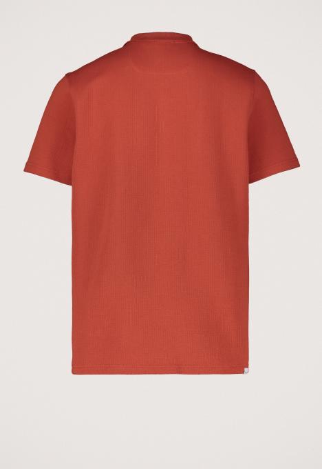 Molo Polo