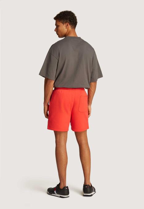 Flag Beach Short