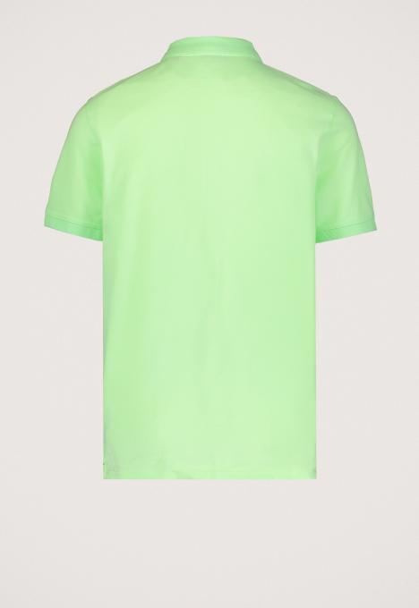 Connor Polo