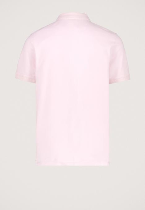 Connor Polo