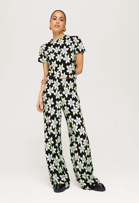  Jane Broek 