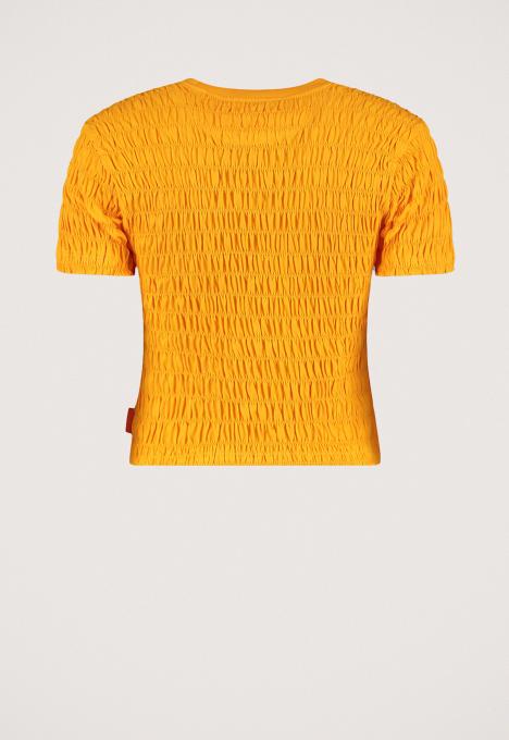 Dolphin T-Shirt 