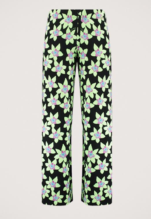  Jane Broek 