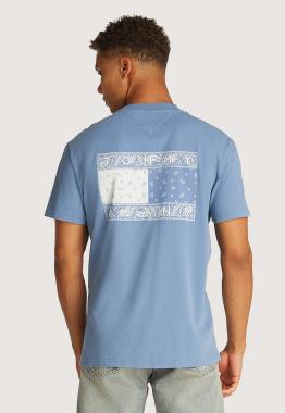Paisley Flag T-Shirt