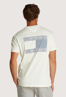 Paisley Flag T-Shirt