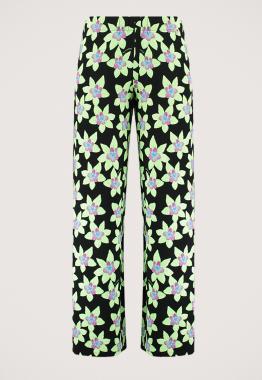  Jane Broek 