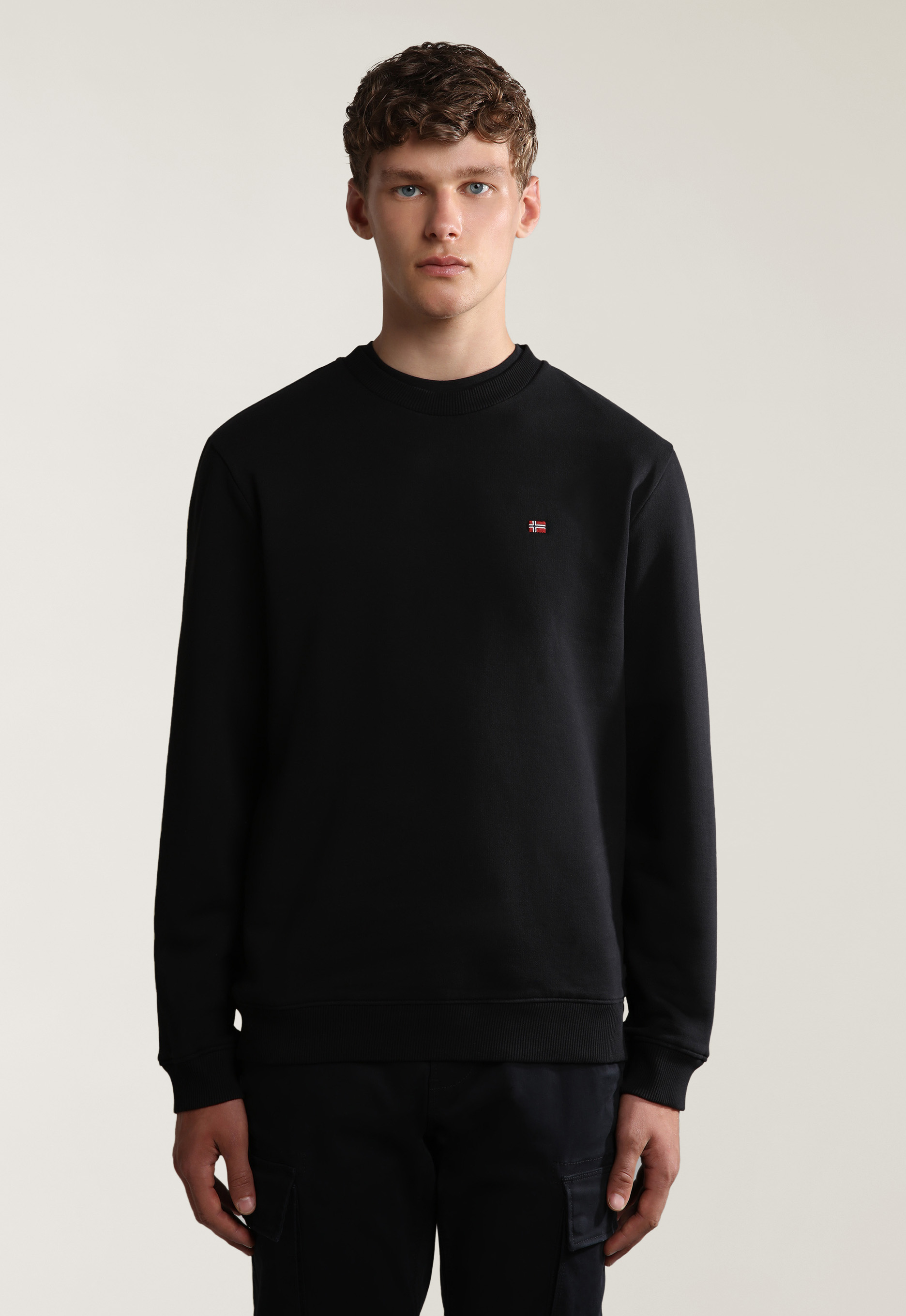 Napapijri Balis Crew 1 Hoodie Napapijri Balis Crew 1 Hoodie