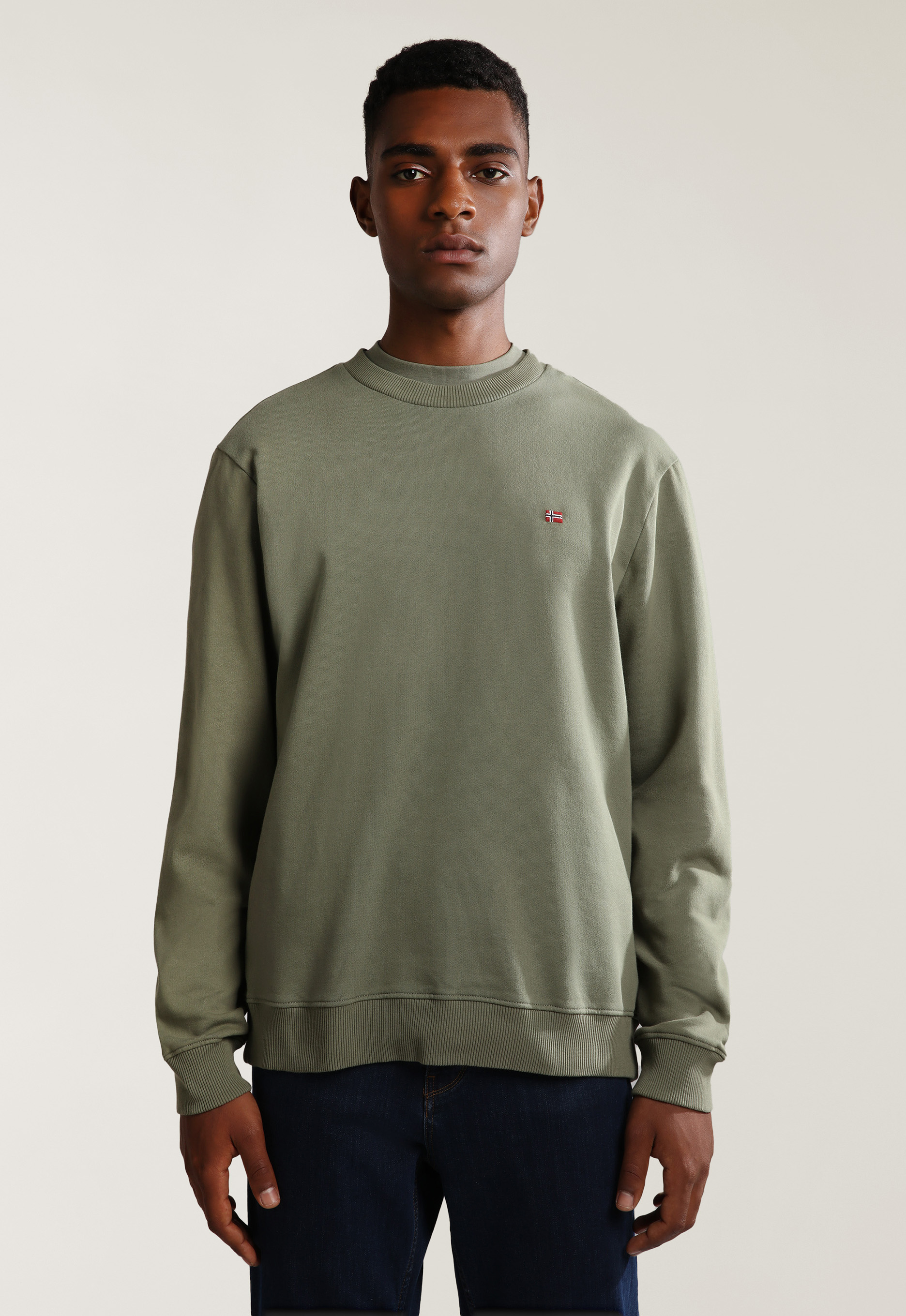 Napapijri Balis Crew 1 Hoodie Napapijri Balis Crew 1 Hoodie